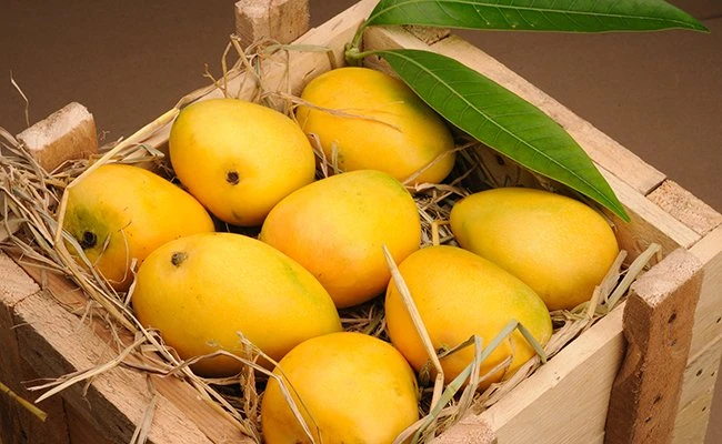 Fresh Mango